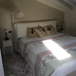 Vignolo